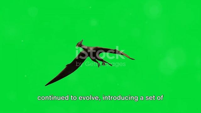 Pteranodon: Evolutionary Adaptations смотреть онлайн