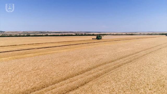 15 06 18 Сарата   комбайны