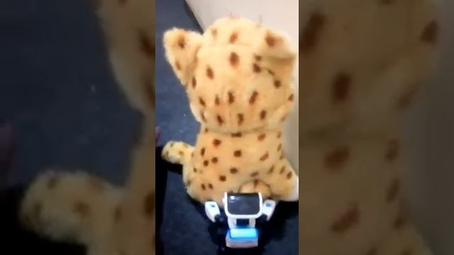 Cozi -the robot and the tiger смотреть онлайн