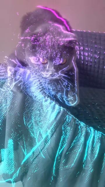 🔴КОТ СМОКИ🔴 смотреть онлайн