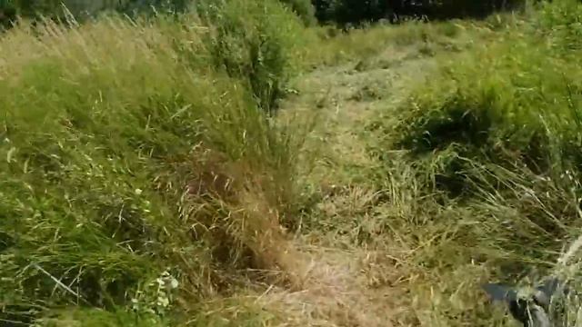 20.07.21.Почему я рекомендую☝️ этот диск для покоса "большой" травы. +79241232444Владимир Стороженк смотреть онлайн