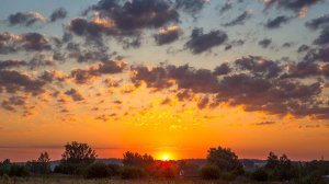 Ой занялась рябина зорькой алой. Поёт Валентина Дробышева