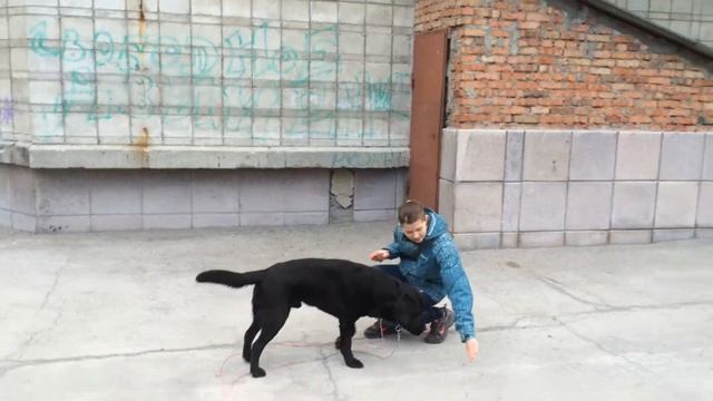 таргет рука смотреть онлайн