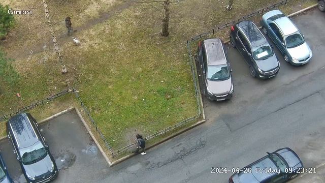 26 апреля 2024 года в 09 час 23 минт СОБАЧНИК выгуливает песика на газоне сквера во дворе МКД смотреть онлайн