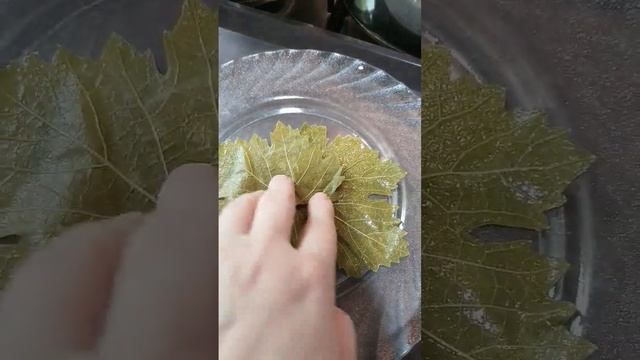 Приготовила сарма из виноградных листьев смотреть онлайн