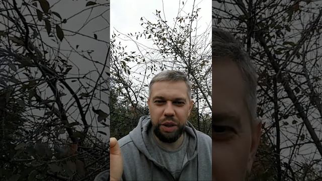 Обед смотреть онлайн