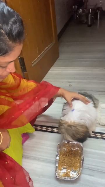 Jo Jo with chicken fried rice смотреть онлайн