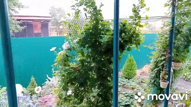 31 августа и 1 сентября в школу. смотреть онлайн