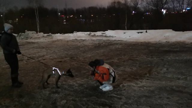 18.01.2023 Тренировки ПСС. Пирожок смотреть онлайн