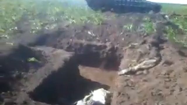 Должанка 2014 смотреть онлайн