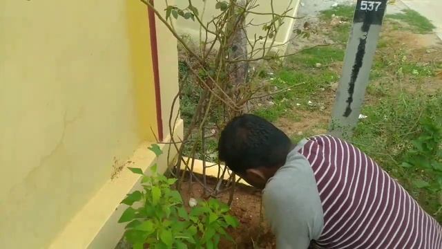 #DIML 😢yedhyiena అనుభవం అయితే తెలుస్తుంది/5 minutes recipe👌/oats తో different డైట్ food recipe👍. смотреть онлайн