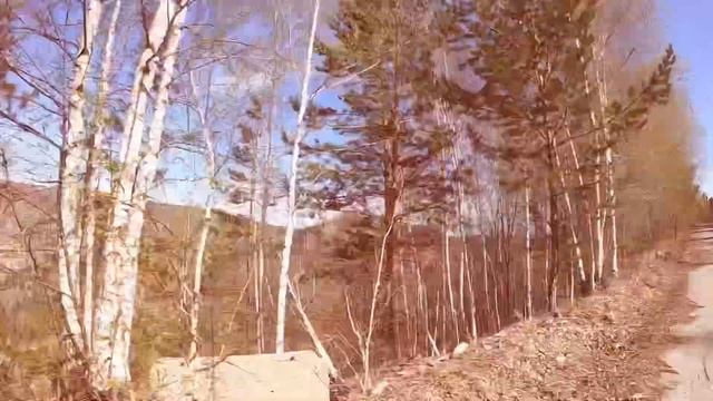 Эндуро 230 км смотреть онлайн