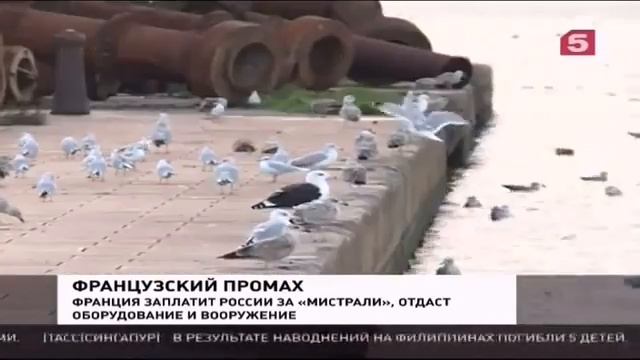 Французский промах Самые последние Новости Украины,России Сегодня смотреть онлайн