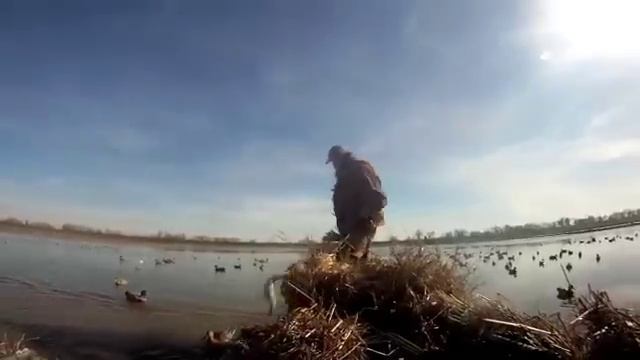 Go pro duck hunting dog Dodge смотреть онлайн