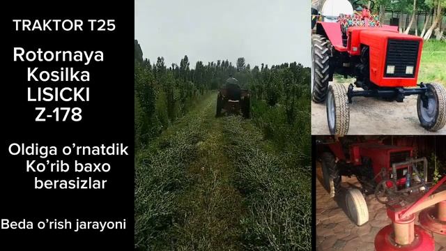 Rotornaya kosilka.LISICKI Z-178.Впервые установили перед новой роторной косилкой на трактор Т25 смотреть онлайн