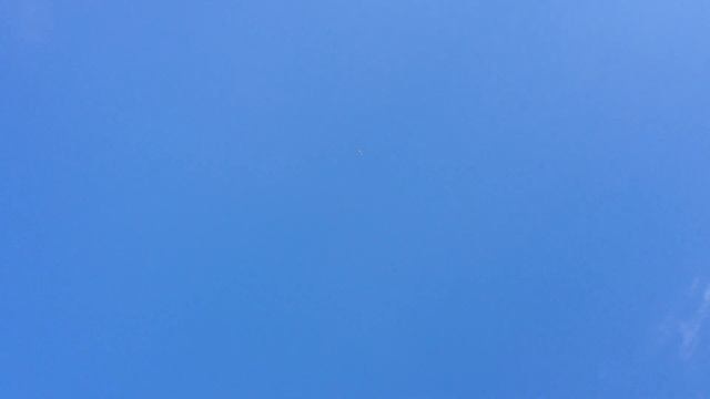 Полетали с коршуном смотреть онлайн