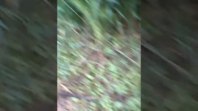 Самодельный нож на мото косу. смотреть онлайн