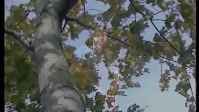 Я покинул родимый дом смотреть онлайн