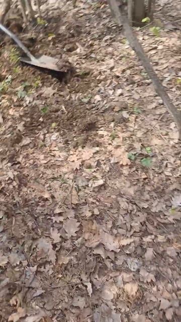 БОНУСЫ за ПОЛ ЧАСА смотреть онлайн