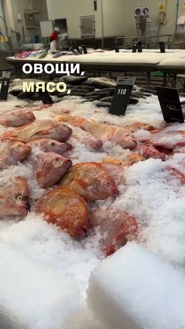 Ни в одном магазине «у дома» не продаются мясо и овощи! Где же мы тогда покупаем продукты? смотреть онлайн