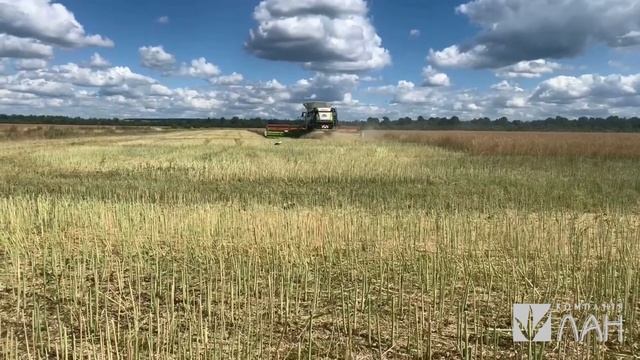 Запуск CLAAS LEXION 780 TERRA TRAC разом зі жниваркою Vario 1230.