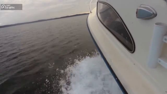 delfin ved skærbæk havn 13-2-2016 смотреть онлайн