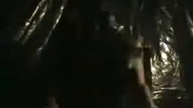 Прикол на Батонс