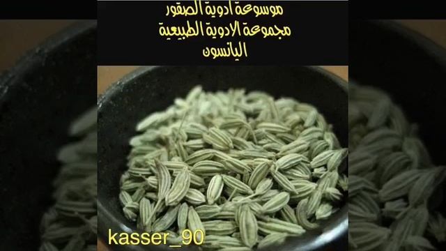 علاج الصقور باليانسون смотреть онлайн