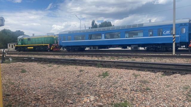 Who is in charge here, the shunting diesel locomotive TEM2-7640 or the cow? смотреть онлайн