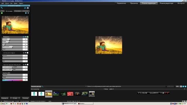 ACDSee pro 6 видео урок смотреть онлайн