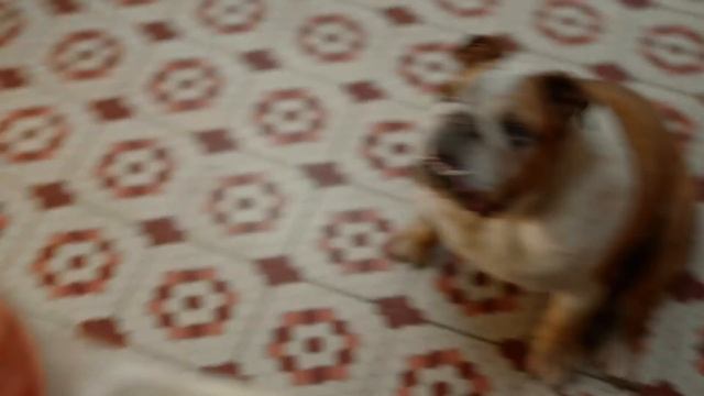 Pinterest | Both смотреть онлайн