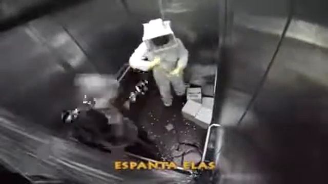 МегаПранк:пчелы в лифте смотреть онлайн