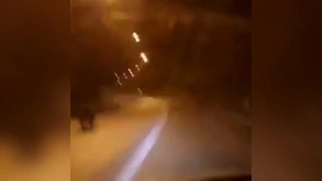 Медведи на улицах в России смотреть онлайн