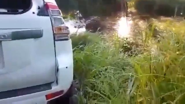 НА 3 000 000 ПОБУХАЛ НА РЫБАЛКЕ смотреть онлайн