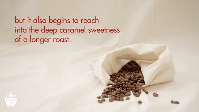 Roasting Coffee смотреть онлайн