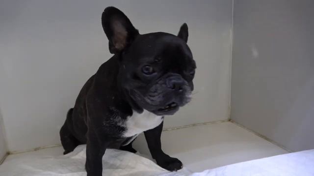 БЦС смотреть онлайн