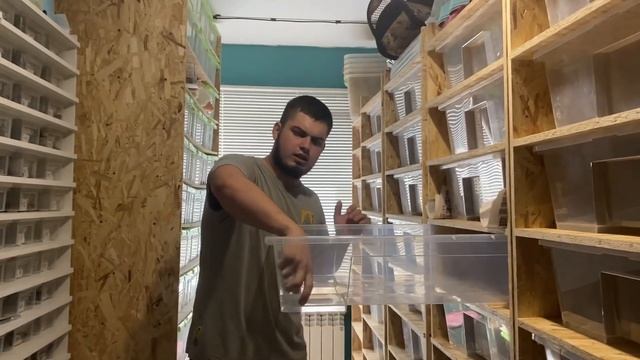 Змеиное хозяйство 2.0 смотреть онлайн