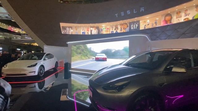 Tesla Turkiye Launch Event- EV's/Tesla/Electrification in Turkiye смотреть онлайн