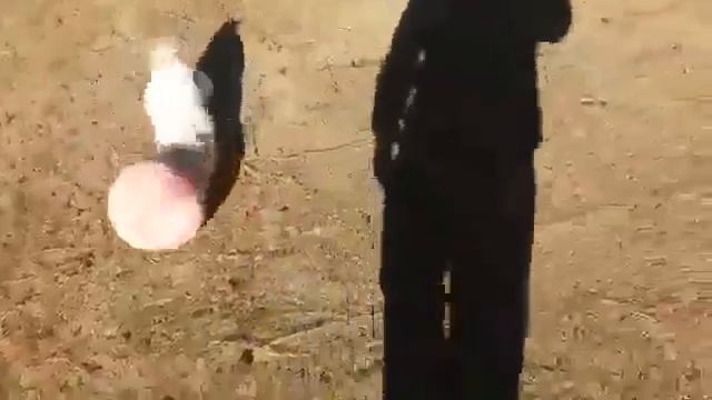 Самая лучшая подборка самых лучших забавных животных!! смотреть онлайн