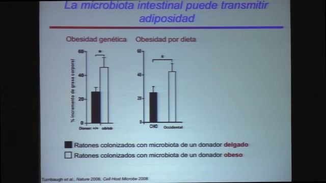 M2-Microbiota y obesidad смотреть онлайн