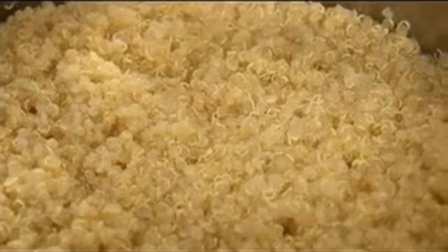 Organic Vegan Quinoa Salad at Loving Hut HippyGourmet style! смотреть онлайн