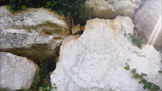 le mura poligonali di Artena (RM) смотреть онлайн