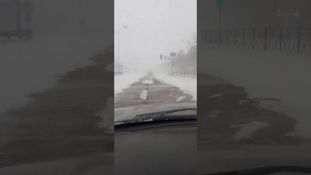 боран Петропавловск смотреть онлайн