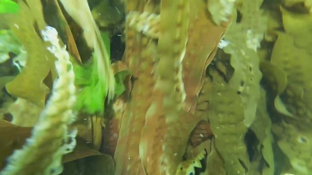 И ТОЛЬКО МОРЕ ВОДЫ!