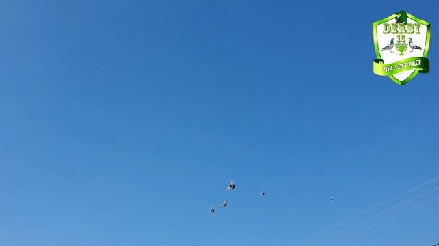 Derby 16 Bursa 174 km 2 yarış 2020 смотреть онлайн