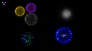 ▽ Адронный коллайдер. Что нашли с помощью адронного коллайдера