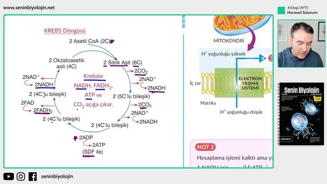 44) Aras Tuğcu Çizimleriyle Oksijenli Solunum смотреть онлайн