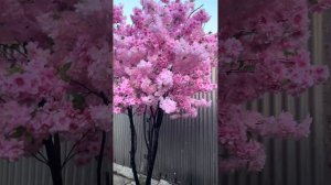 Дерево Сакура