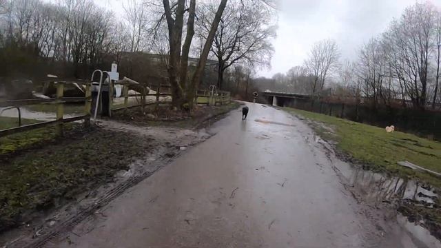 Weight Loss Challenge - Day 1/60 (Run Every Day for 60 Days) смотреть онлайн