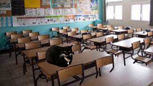 Maxwell Cat Goes To School! #yttrending #shortsfreefire #viralvideo #shortstatus #shortsvideoviral